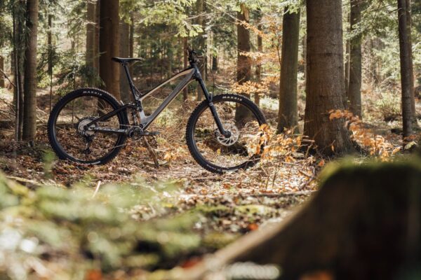 woodsprite antidote trail gallery 8