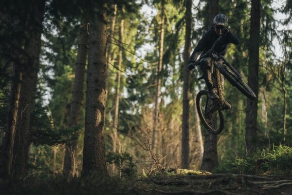 woodsprite antidote trail gallery 19